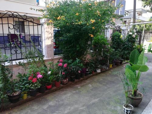 Zahrada ubytování guest house ( guramishvili 19 )