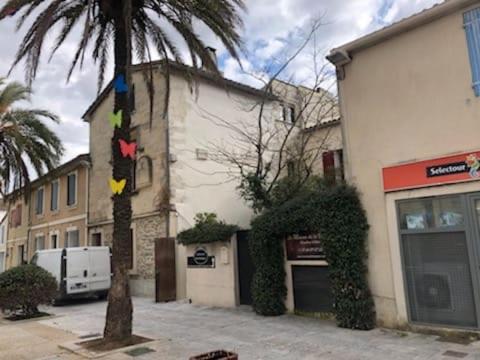 uma palmeira em frente a um edifício em La maison sur la place em Aigues-Mortes