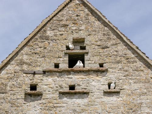 a group of birds sitting on top of a building at Nympy Cottage in Nympsfield