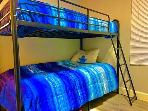 um quarto com um beliche com lençóis azuis em STOP Inn STAY HOSTEL em Houston