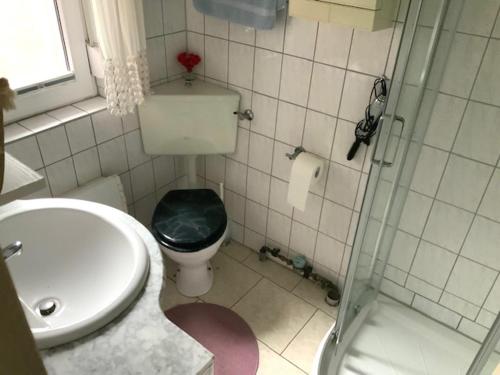 een badkamer met een toilet, een wastafel en een douche bij Ferienhaus auf Usedom, Neeberg in Krummin