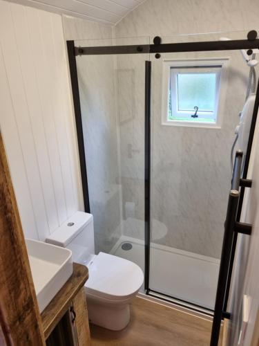 a bathroom with a shower and a toilet and a sink at Rusty - Shepherds hut sleeps up to 4 in Sidlesham