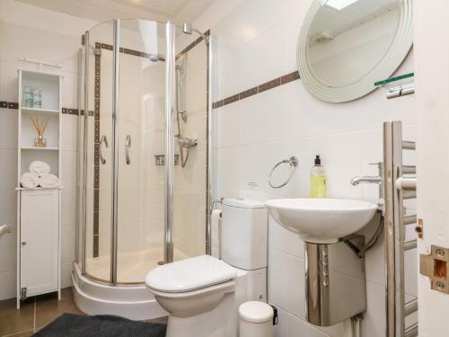 a bathroom with a shower and a toilet and a sink at Wood Cottage in Lynton