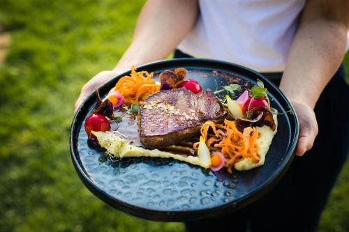 a person holding a plate of food with meat and vegetables at Tópart Hotel in Balatonvilágos