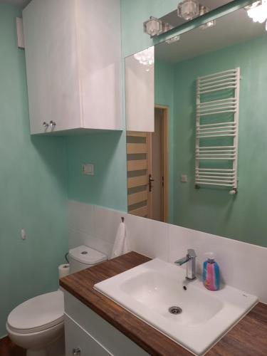 a bathroom with a sink and a toilet and a mirror at ŁADNE MIESZKANIE W PRZYJAZNEJ OKOLICY - NICE APARTMENT IN a FRIENDLY NEIGHBORHOOD in Suwałki