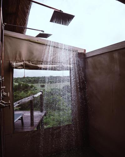 Φωτογραφία από το άλμπουμ του Bush Lodge – Amakhala Game Reserve σε Amakhala Game Reserve