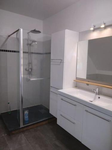 une salle de bain blanche avec une douche et un lavabo dans l'établissement Le Manoir, à Chanceaux-sur-Choisille