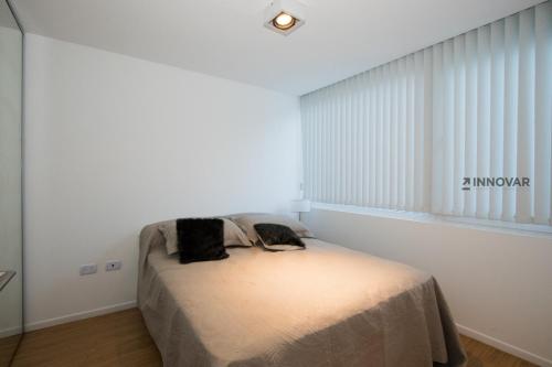 a bed in a white room with a window at Gray Fox Apartments Deloqui in Ushuaia