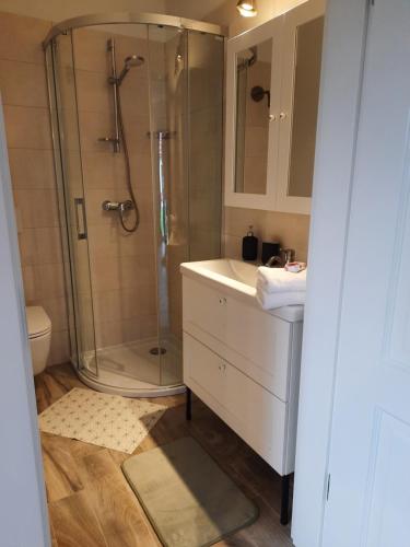 een badkamer met een douche en een wastafel bij Apartament w Chęcinach in Chęciny