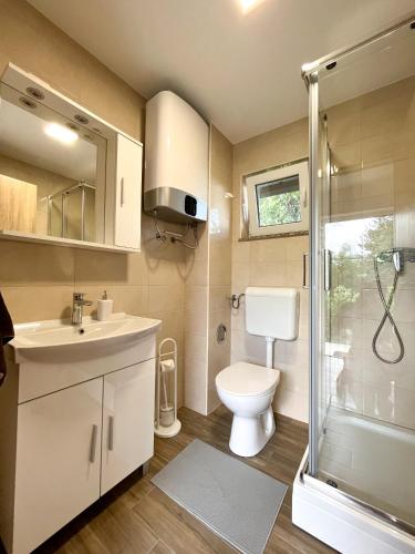 a bathroom with a toilet and a sink and a shower at Tomajna Vineyard Stay in Podlehnik