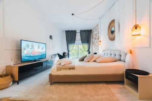 a bedroom with a large bed and a television at Chambre unique Lovya, avec Jacuzzi en hypercentre in Villeneuve-sur-Lot