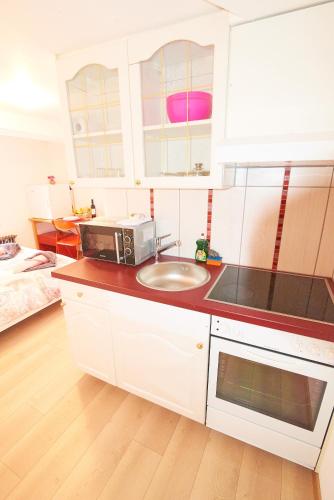 a kitchen with a sink and a microwave at New West Station 7 in Interlaken