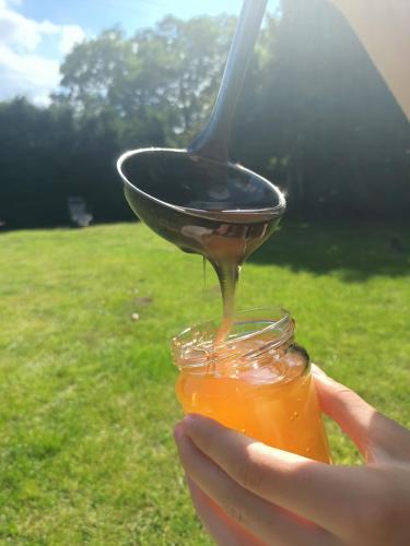 a spoon is pouring honey into a jar at Smocze Ranczo 2 in Ośno Lubuskie