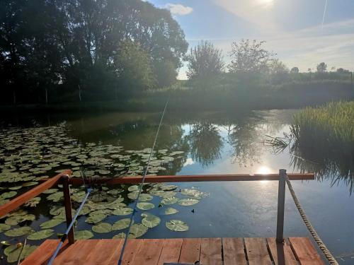 a lake with a dock and lily pads on the water at Smocze Ranczo 2 in Ośno Lubuskie