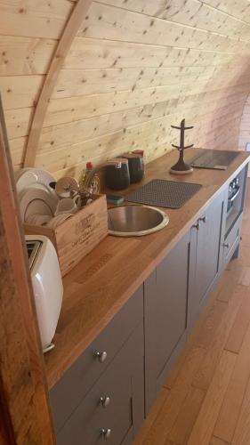 a kitchen with a sink and a wooden counter top at Railway Pod, Castlewellan in Castlewellan