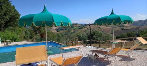 Tenuta del Falco – Photos 3