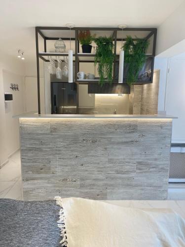 a counter with plants on it in a room at DEPARTAMENTO CENTRICO CON COCHERA - CORDOBA Argentina- in Cordoba