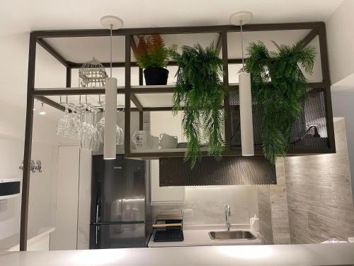 a kitchen with potted plants hanging above a sink at DEPARTAMENTO CENTRICO CON COCHERA - CORDOBA Argentina- in Cordoba