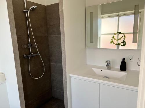 een badkamer met een douche, een wastafel en een spiegel bij Agata Inn in Frederikssund