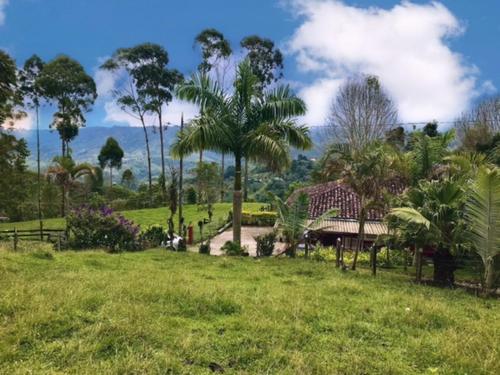 a park with palm trees and a house in a field at Ecofinca Salento in Salento