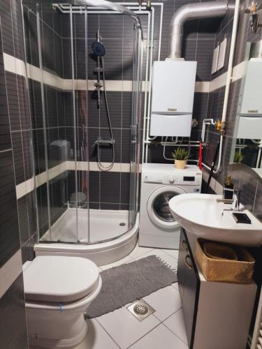 W łazience znajduje się prysznic, toaleta i umywalka. w obiekcie Skitnica Gold w mieście Koprivnica