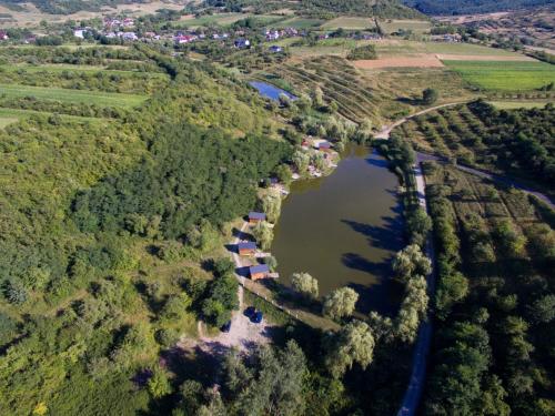 eine Luftansicht auf einen Fluss und einen See in der Unterkunft Cabanute Premium de pescuit in Sînmărghita