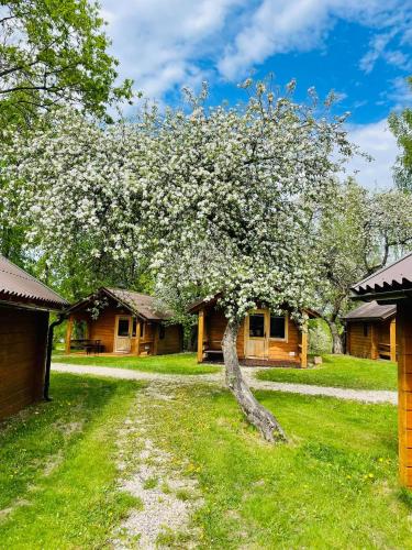 Fotografie z fotogalerie ubytování Poilsio gyvenvietė "Obuolių sala" v destinaci Molėtai