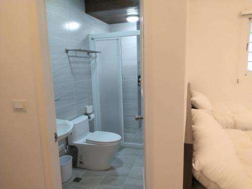 La salle de bains est pourvue d'une douche et de toilettes. dans l'établissement Diamond Avenue Homestay, à Changbin