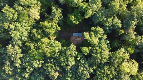 una vista aerea di una casa nel mezzo di una foresta di Inspire Tiny a Saint-Laurent