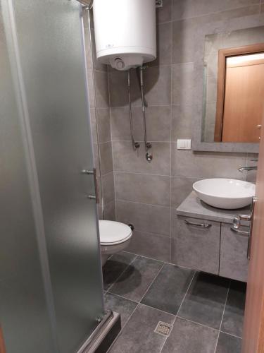 a bathroom with a toilet and a sink at Apartmani Eho Zlatibor in Zlatibor
