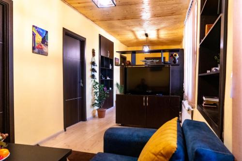 salon z niebieską kanapą i telewizorem w obiekcie My Home in Tsinandali w mieście Tsinandali