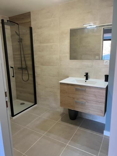 een badkamer met een wastafel en een douche bij Studio cartel in Le Bosc