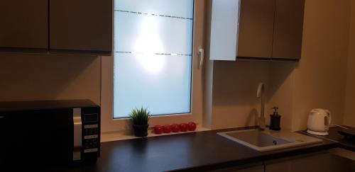 a kitchen with a window over a kitchen sink at White Room Wrocław przy Wyspie Opatowickiej in Wrocław