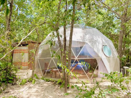 a dome tent in the middle of a forest at Ku kuk Glamping in Chemuyil
