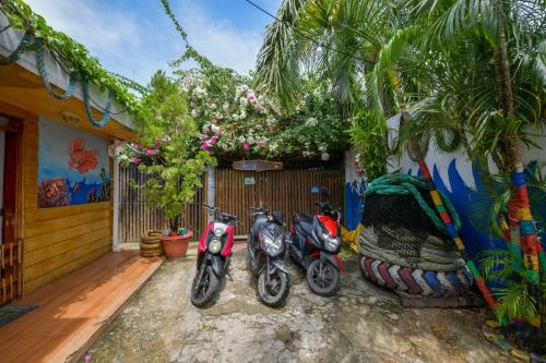 two motorcycles parked next to a building with flowers at Posada Amaripucci in San Andrés