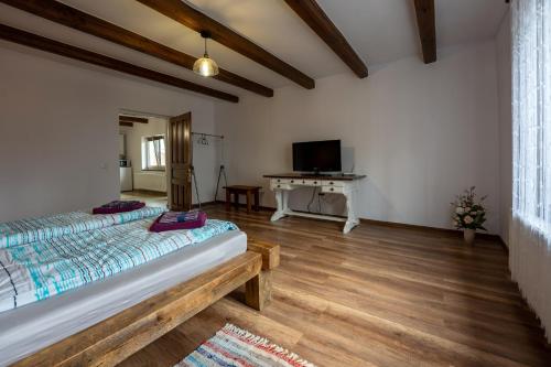 1 dormitorio con 1 cama y escritorio en una habitación en Casa Rustik Danes, en Daneş