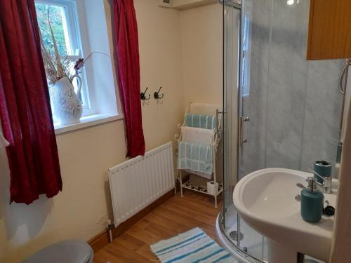 ein Badezimmer mit Dusche und Waschbecken in der Unterkunft Berwick Hall Cottage in Moira
