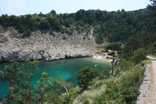 a view of a river with a beach and trees at Apartment Vrbnik 5301b in Vrbnik