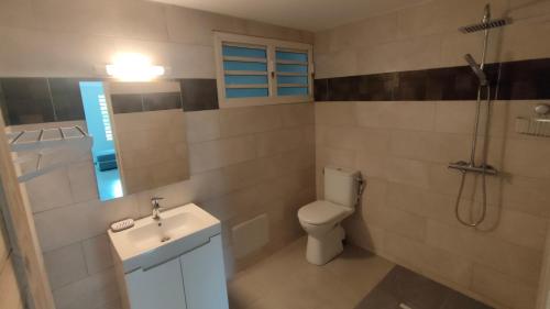 德豪特漁村的住宿－Les Eaux Turquoise，浴室配有卫生间、盥洗盆和淋浴。