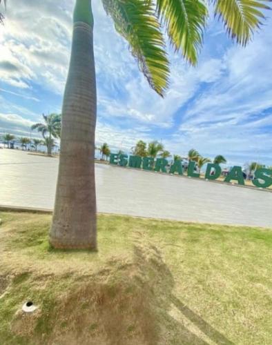 a palm tree sitting in a field next to a wall at Acogedor, amplio a 5 min de Las Palmas-Esmeraldas in Esmeraldas