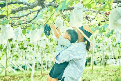 a woman hugging a child while picking grapes from a tree at Kominkayado LOOF Okanoie in Yamanashi