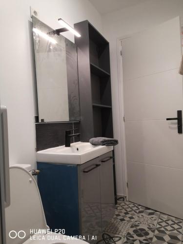 een badkamer met een wastafel, een spiegel en een toilet bij LESAGE BIS in Lorient