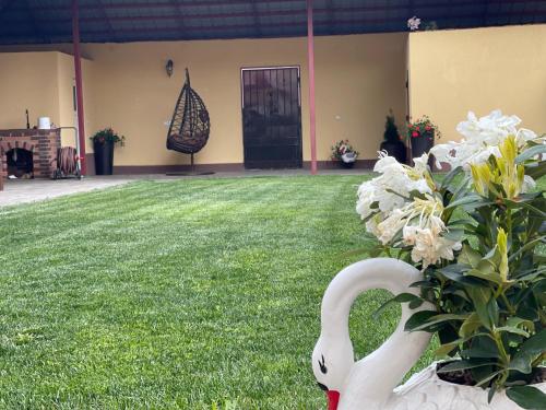 a yard with a white swan in the grass at La Mimi Villa in Sadu