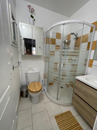 a bathroom with a shower and a toilet and a sink at Le Mas des Collines 2 personnes in Rousset-les-Vignes