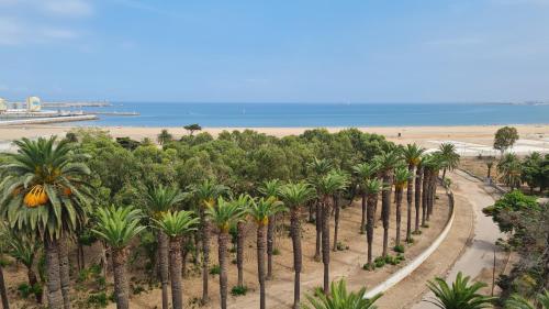 eine Reihe von Palmen am Strand in der Unterkunft Joli appartement Mohammédia in Mohammedia