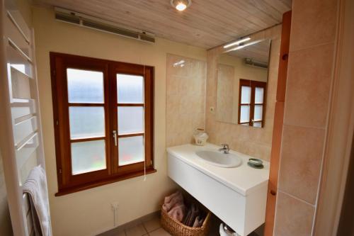 a bathroom with a sink and a mirror at Les Hortensias in Riquewihr