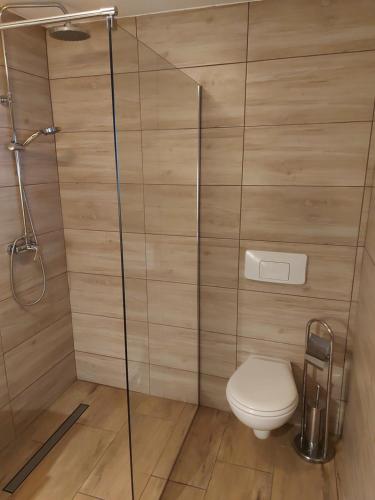 a bathroom with a shower and a toilet at Chata Baryła in Sulęczyno