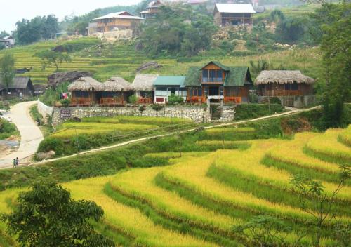 a village on the side of a hill with ricefields at Sapa Eco Hugo in Sa Pa