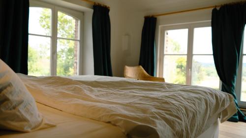 Héron的住宿－Les 3 Bilobas，卧室内的一张床位,设有两个窗户
