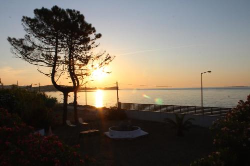 Anastazia's Seaside Apartments